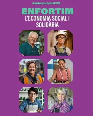 Imatge de la subvenció