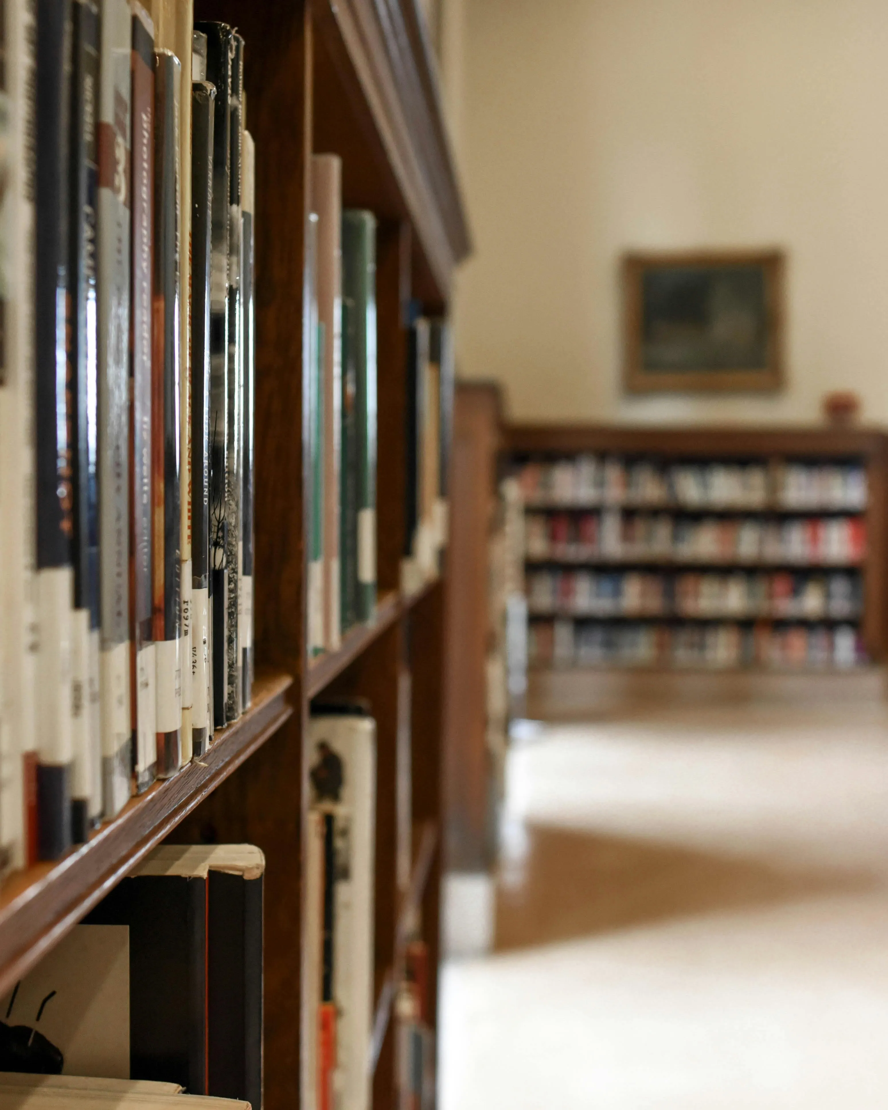 Biblioteca. Font: Pexels - lement5 Digital