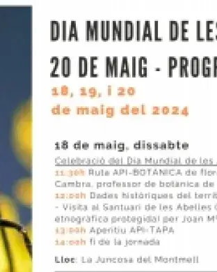 Fragment del cartell de l'acte pel Dia Mundial de les Abelles organitzat per l'Associació Amics de les Abelles de les Muntanyes de Prades i Poblet.