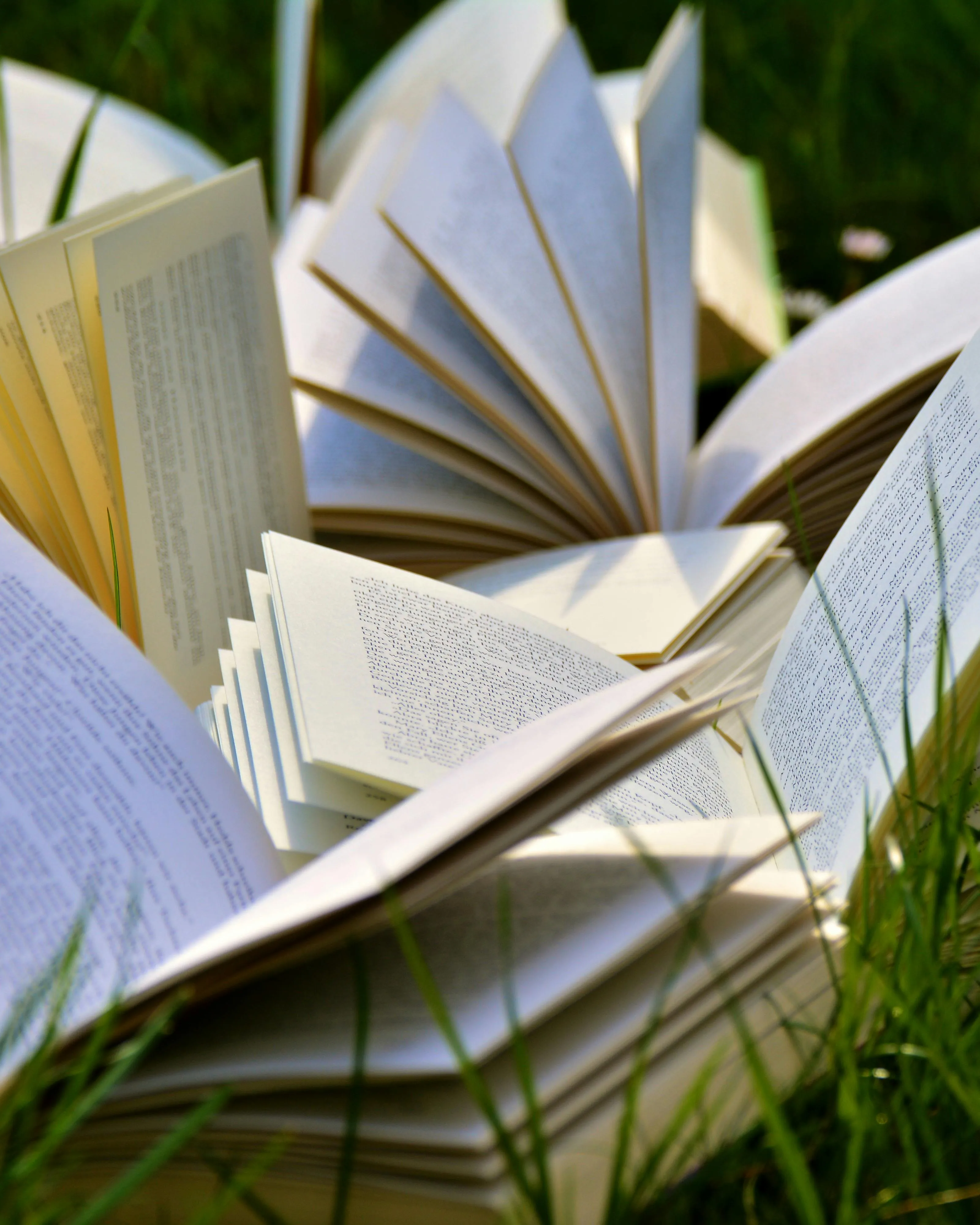 Llibres sobre un camp de gespa. Font: Pixabay