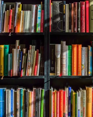 Llibreria amb llibres variats. Font: Pixabay