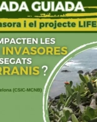 Fragment del cartell de la passejada guiada 'La flora invasora i el projecte LIFE medCLIFFS'