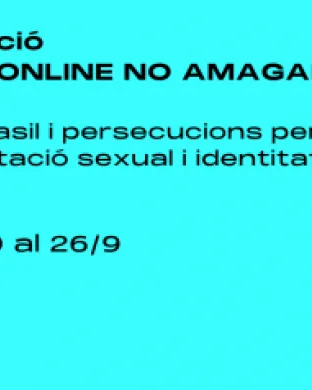 Formació virtual sobre el dret d’asil LGTBIQ+. Font: Lafede.cat.