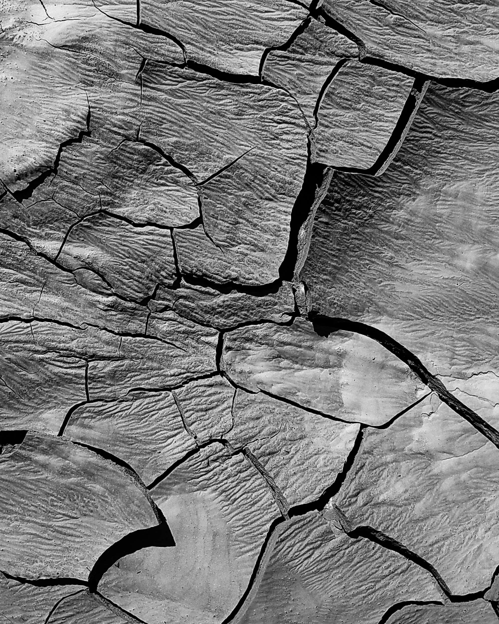 Terra  molt seca. Font: Pexels - Aaron Kittredge