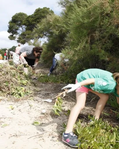 L'objectiu de la jornada és protegir el litoral català de les plantes exòtiques invasores.