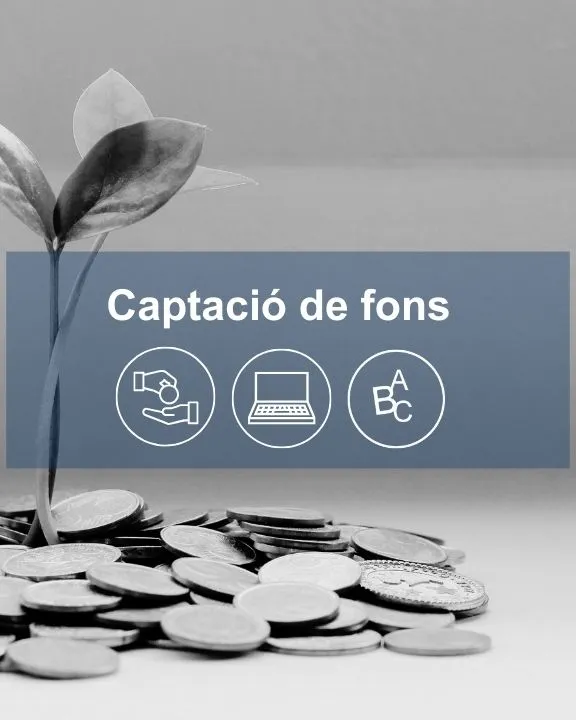 Captar recursos és molt important per poder créixer. Font: Coordinadora Catalana de Fundacions.