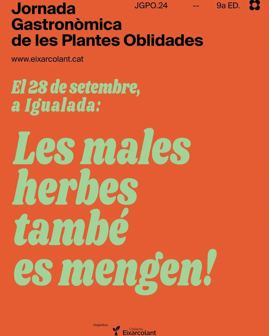 Jornades en les que coneixer les plantes que envolten les ciutats. Font: Eixarcolant.