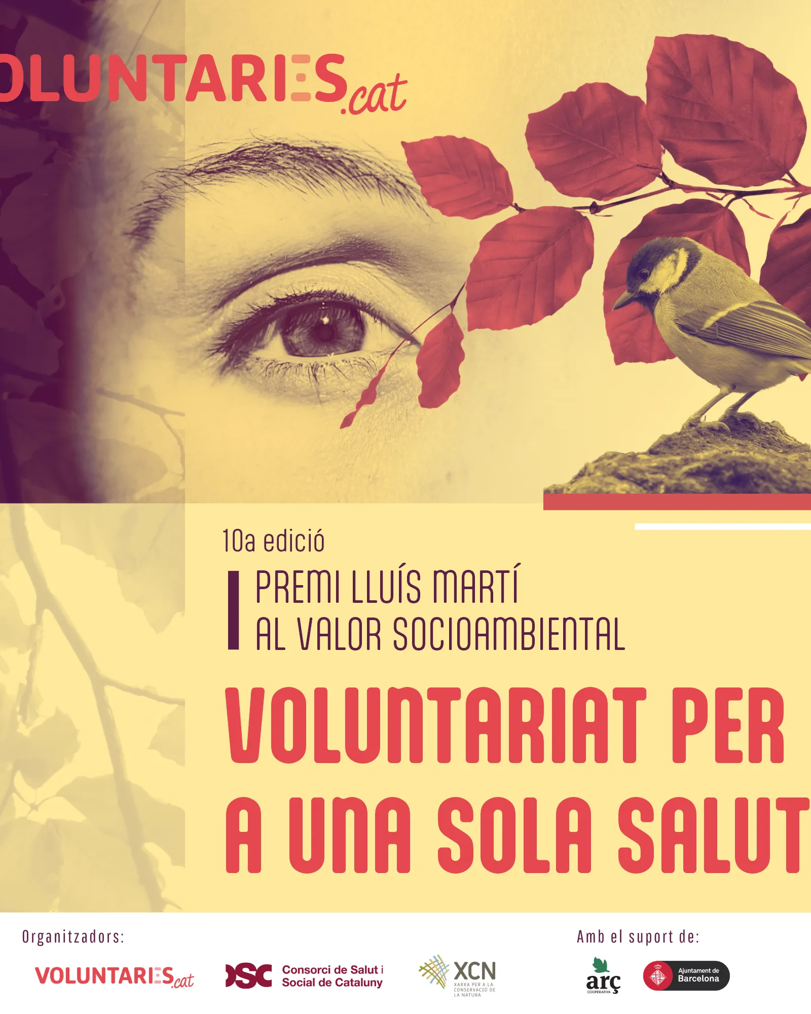 Cartell del premi. Font: Federació Catalana de Voluntariat Social