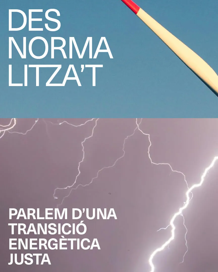 Cartell de Desnormalitza't 2024.