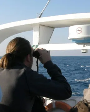Sortida en barca 'Pescadors d'alçada'