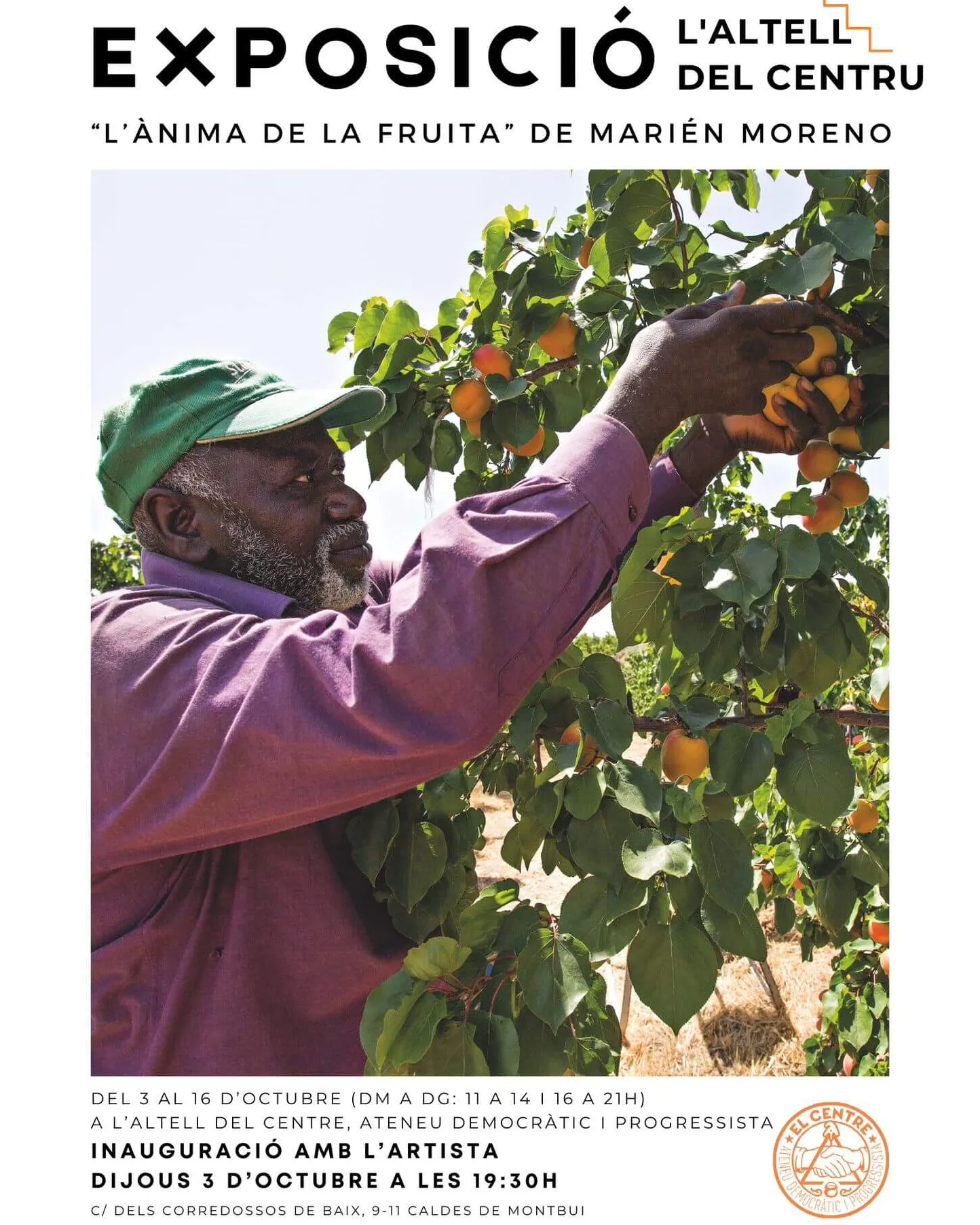 Cartell promocional de l'activitat