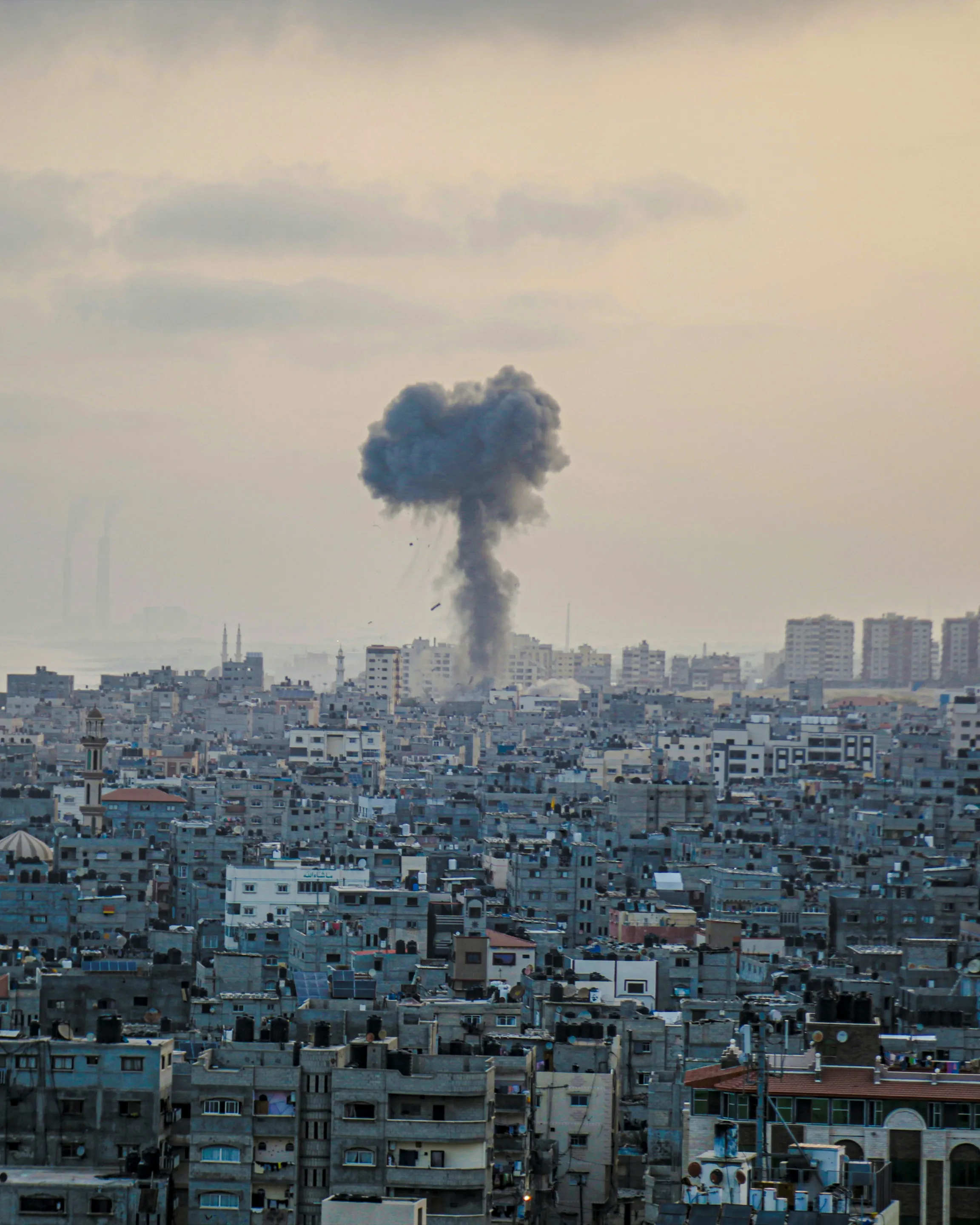 Més de 42.000 persones han estat assassinades a Gaza des del 7 d'octubre.