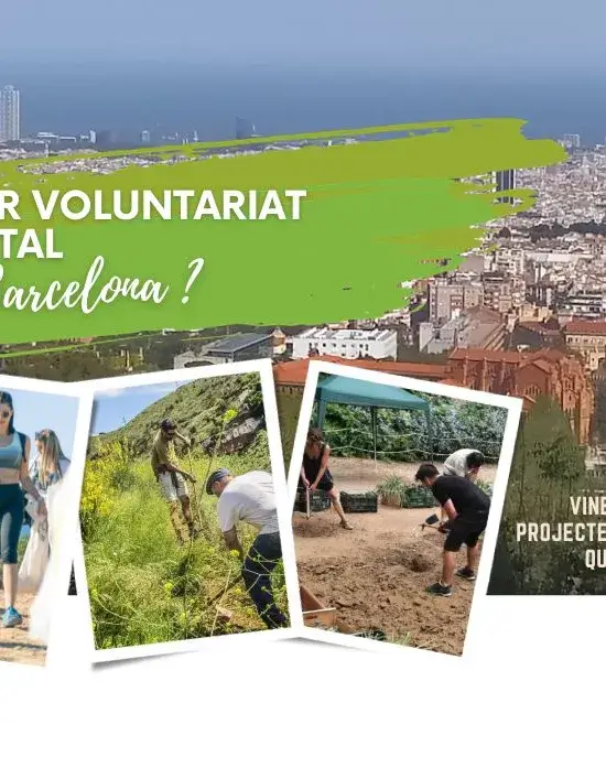 Cartell de la xerrada ‘Vols fer voluntariat ambiental a Barcelona?’