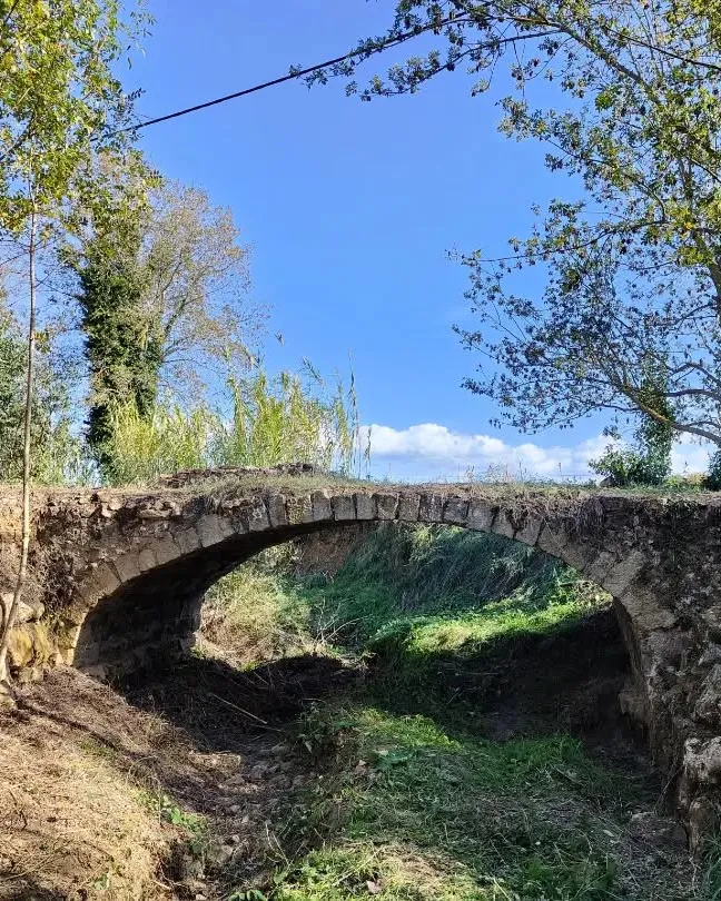 Pont del Riudevila