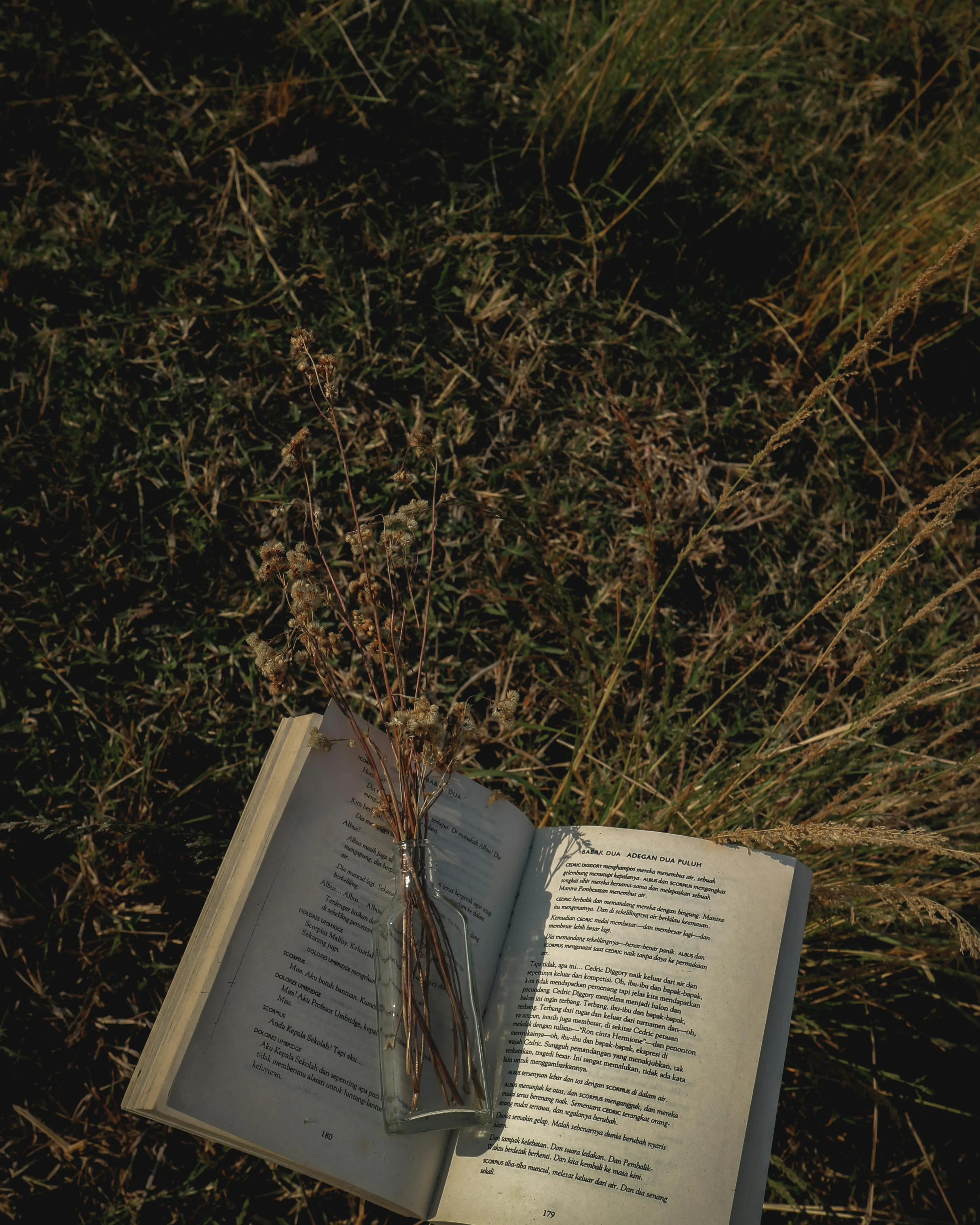 Llibre obert amb un ram de plantes, sobre un camp