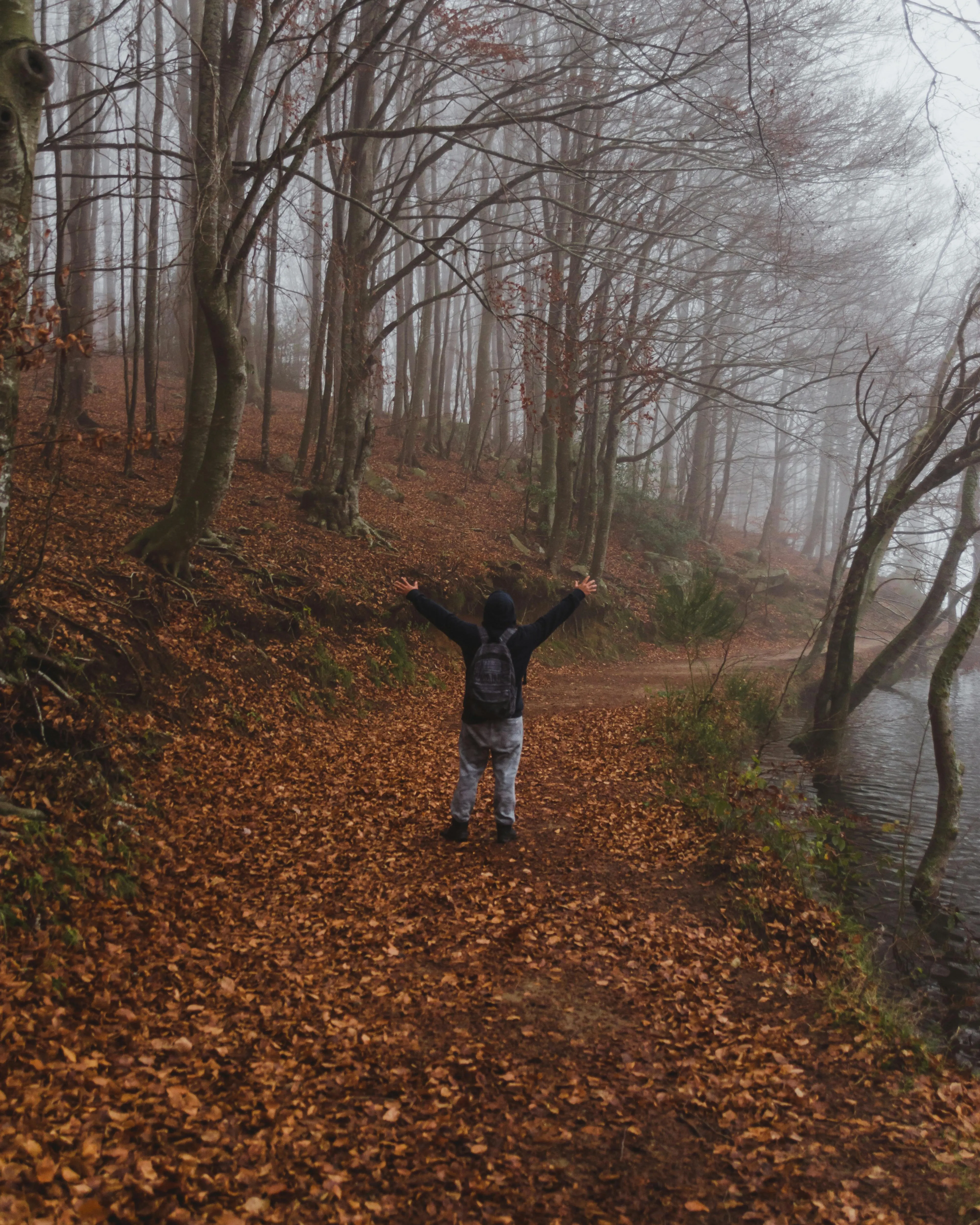 Persona gaudint al bosc la tardor Persona en un camí en un bosc amb fulles de tardor aixecant els braços