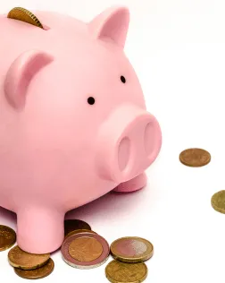 La formació dona les eines necessàries per fer una bona justificació del que s'ha fet amb les subvencions rebudes.