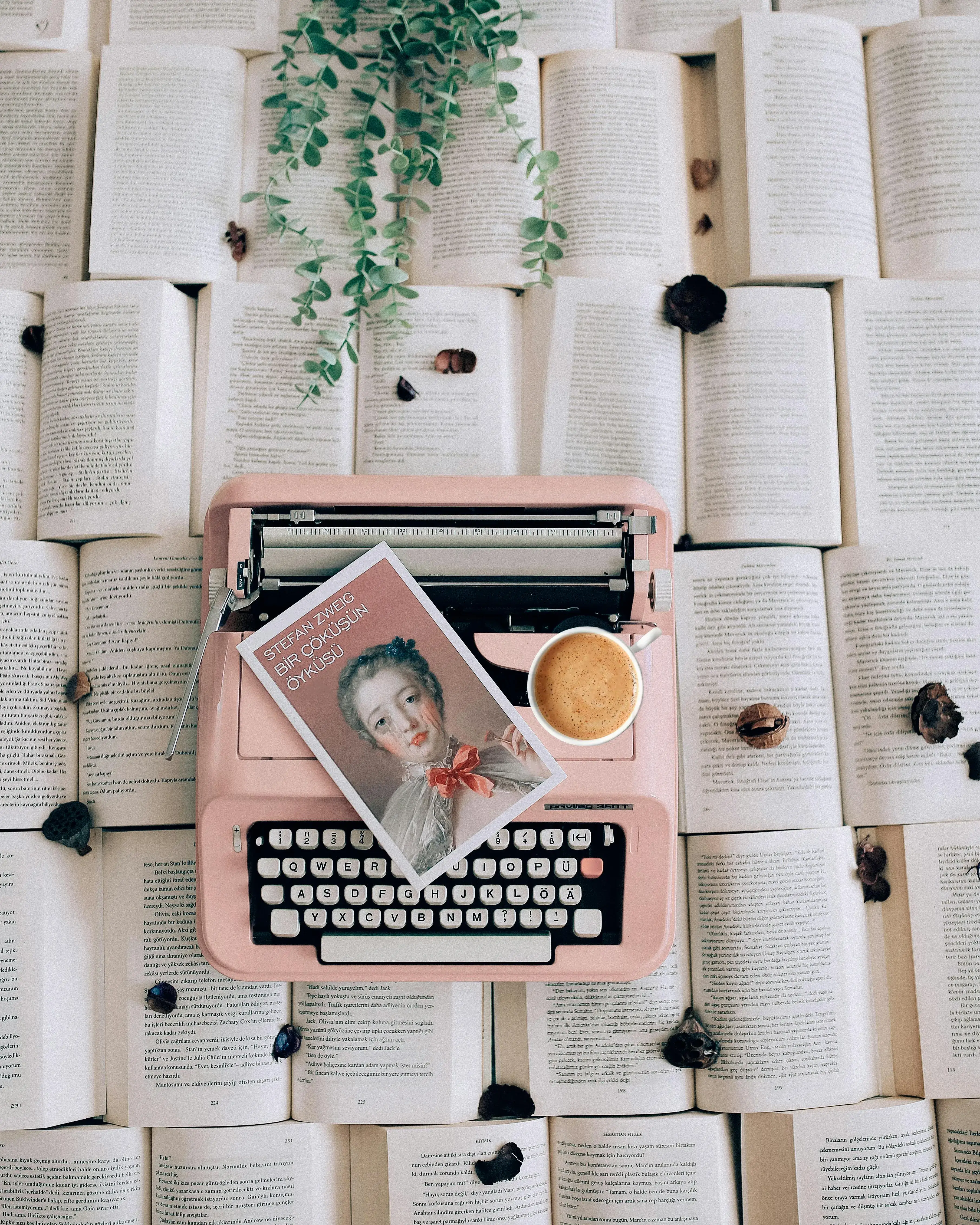 Llibres oberts amb màquina d'escriure de color rosa pal flors i  llibre amb portada romàntica
