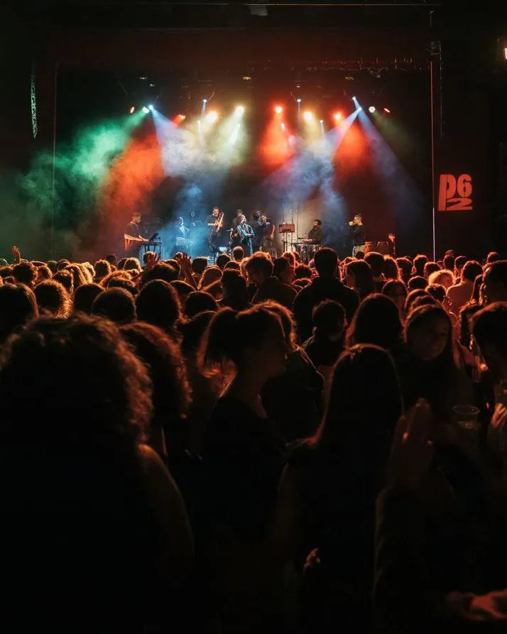 Públic en un festival de música amb l'escenari al fons i focus de llum de diferents colors.