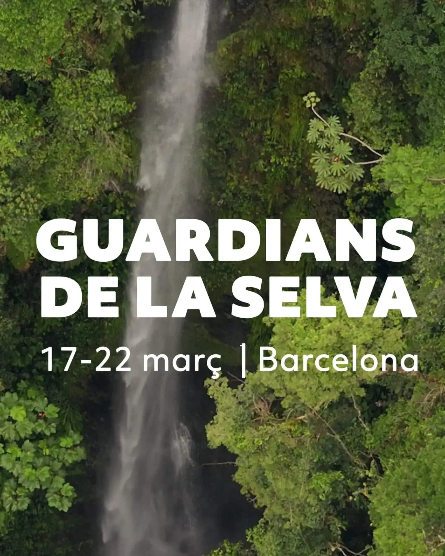 Cartell de la campanya 'Guardians de la selva'