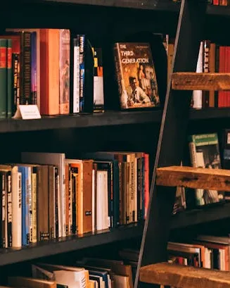 Prestatge amb llibres Prestatge amb llibres