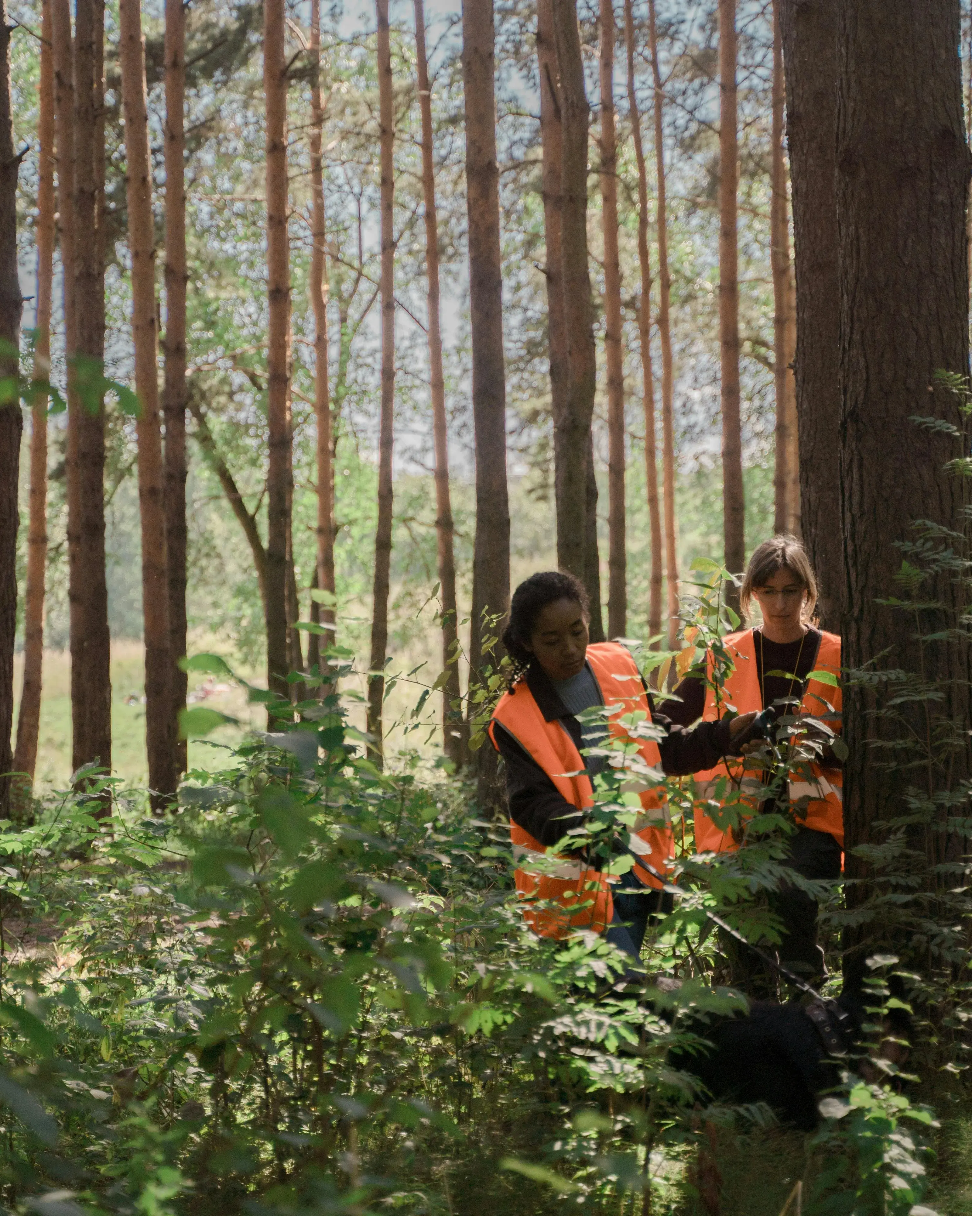 Les persones participants d'aquesta experiència de voluntariat internacional faran la seva estada a terreny durant el mes d'agost 