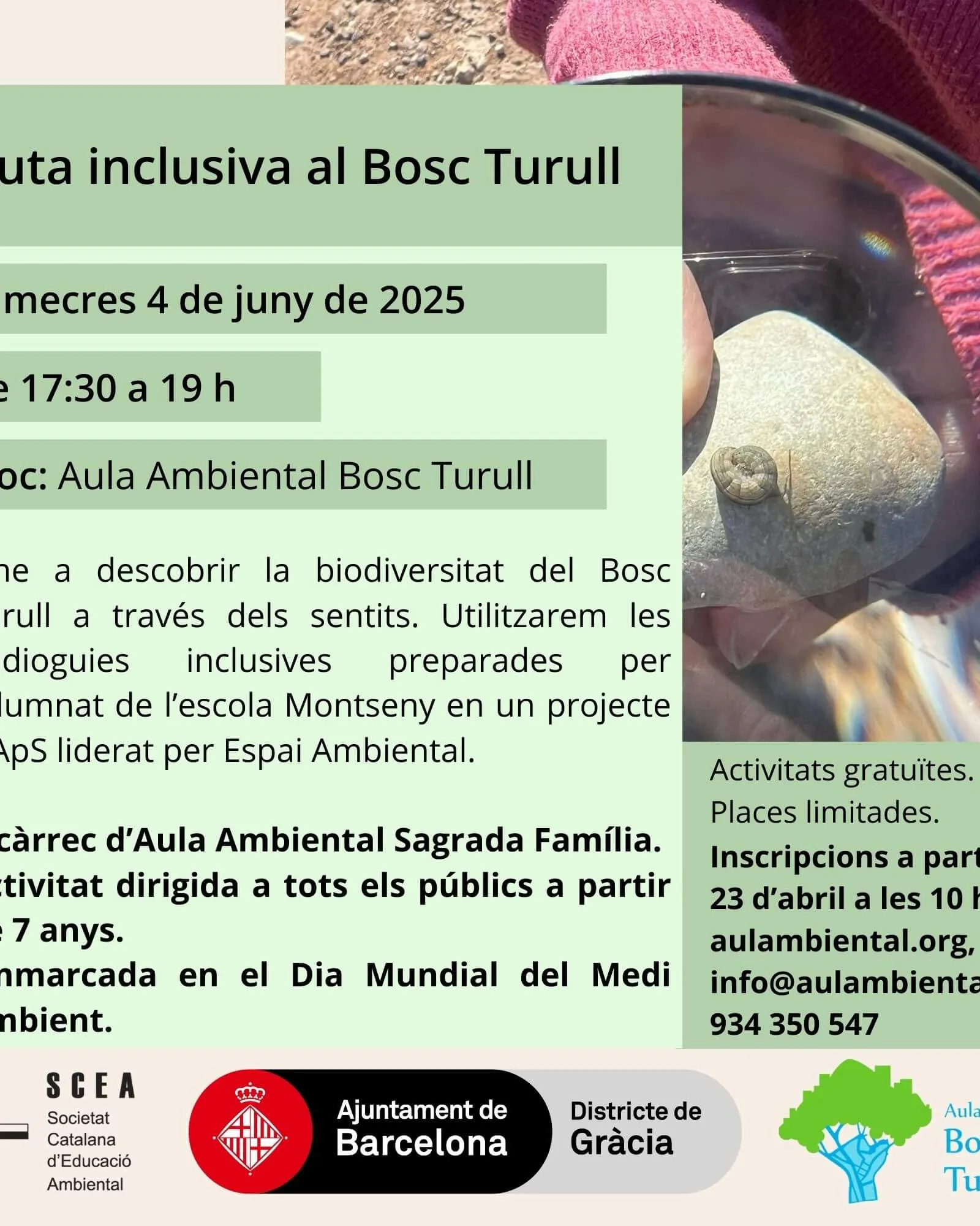 Vine a descobrir la biodiversitat del Bosc Turull 