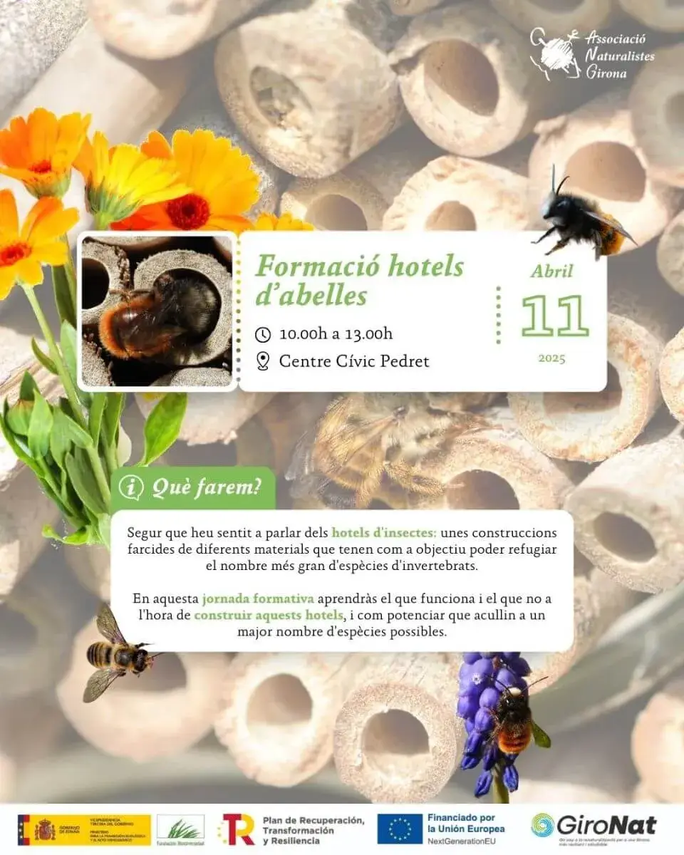 Cartell de la formació ‘Hotels d’abelles’