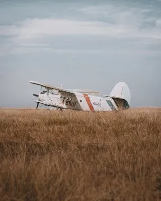 Avió en un camp