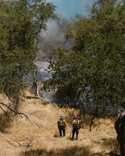 Bombers en un incendi forestal