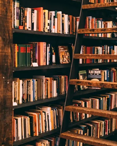 Llibres Prestatgeria plena de llibres