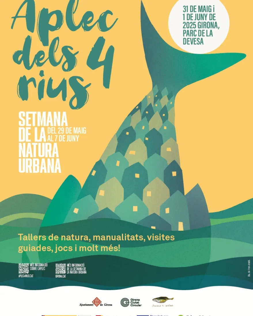 Cartell Aplec dels 4 Rius 2025