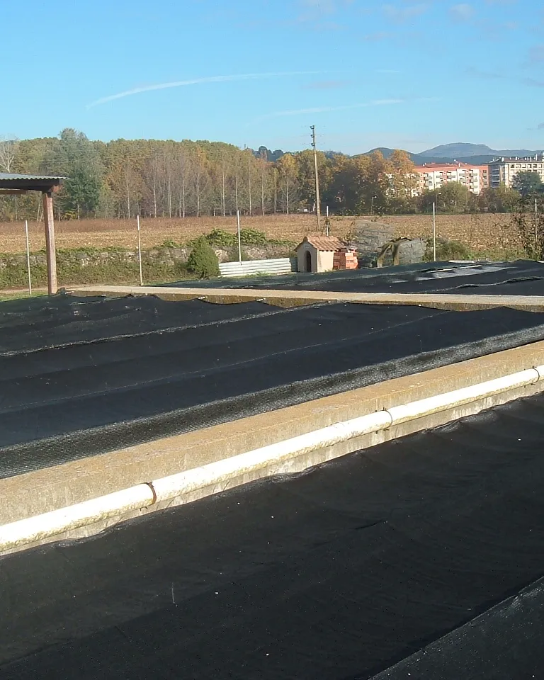 Nucli reproductor de cranc de riu al Molí de les Fonts a Olot