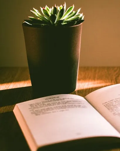 Taula amb un llibre obert i una planta al fons
