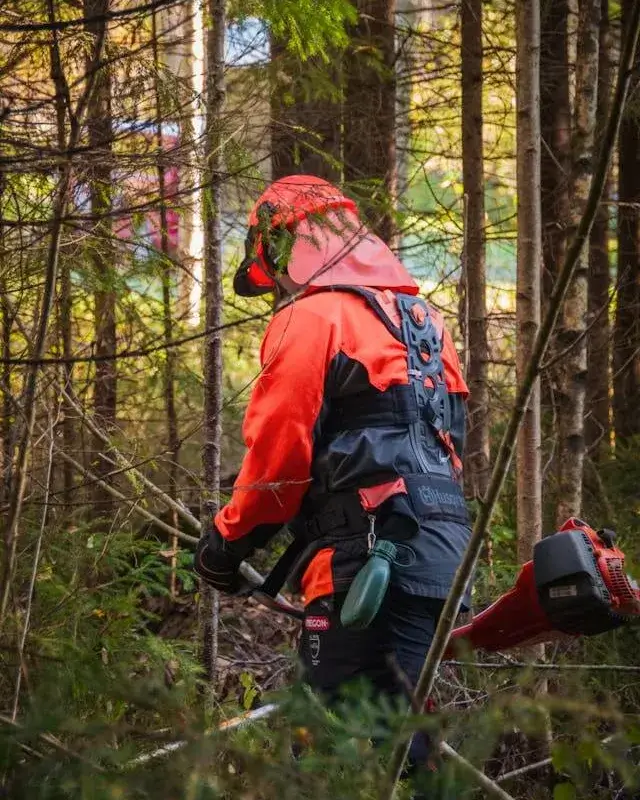 Persona treballant el bosc Persona treballant el bosc