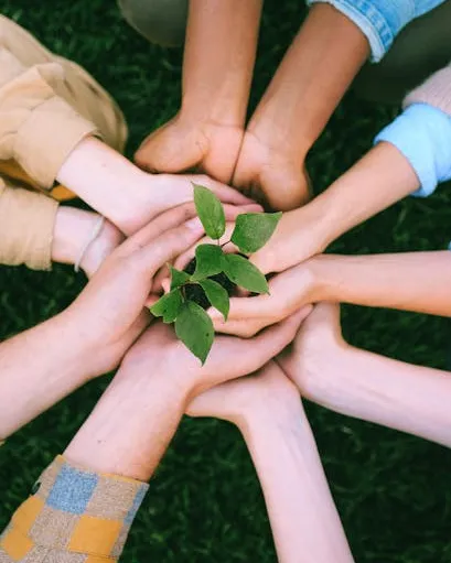 Mans unides agafant una planta