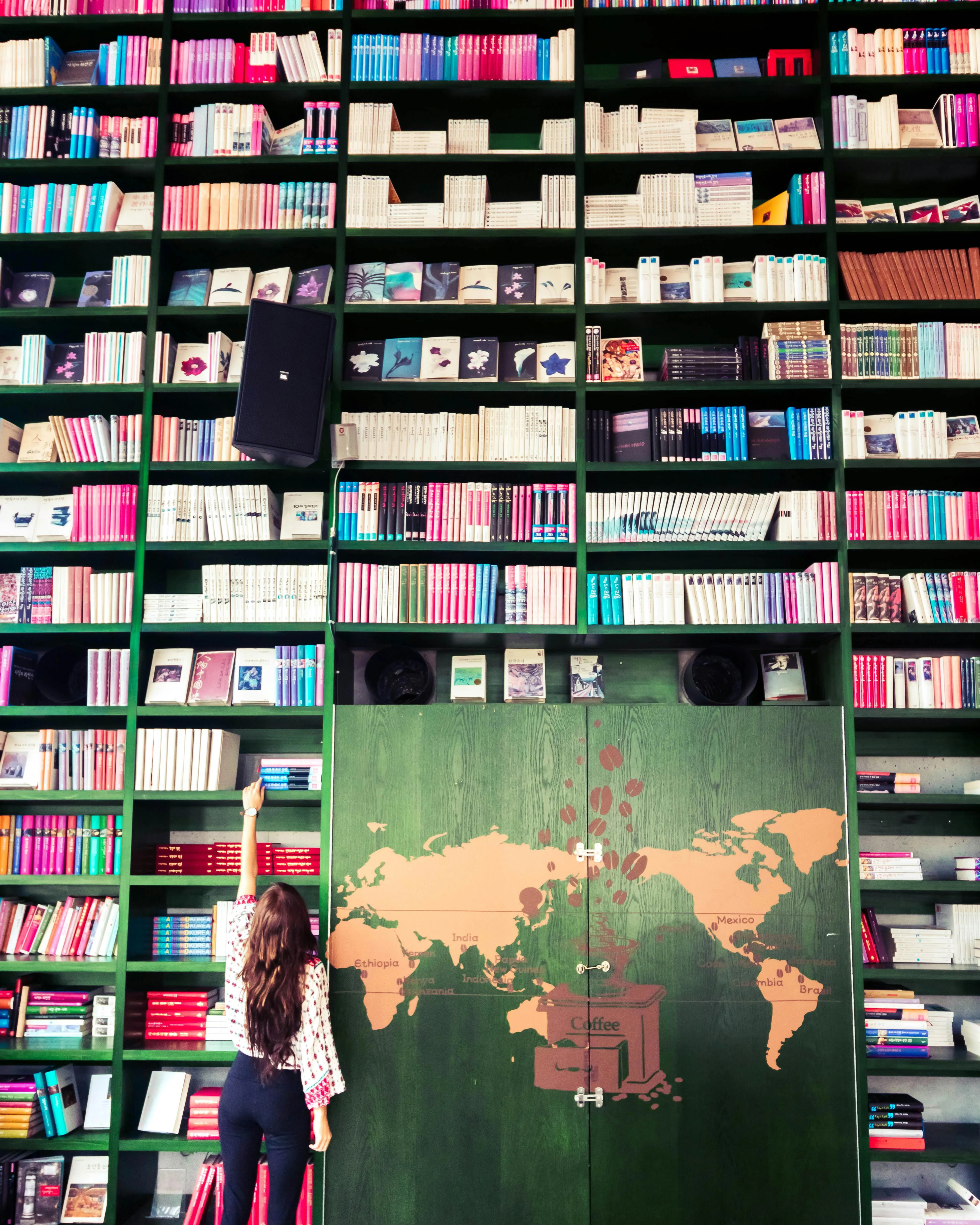 Noia agafant un llibre en una paret alta plena de prestatgeries i llibres