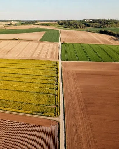 Camps agrícoles Camps agrícoles