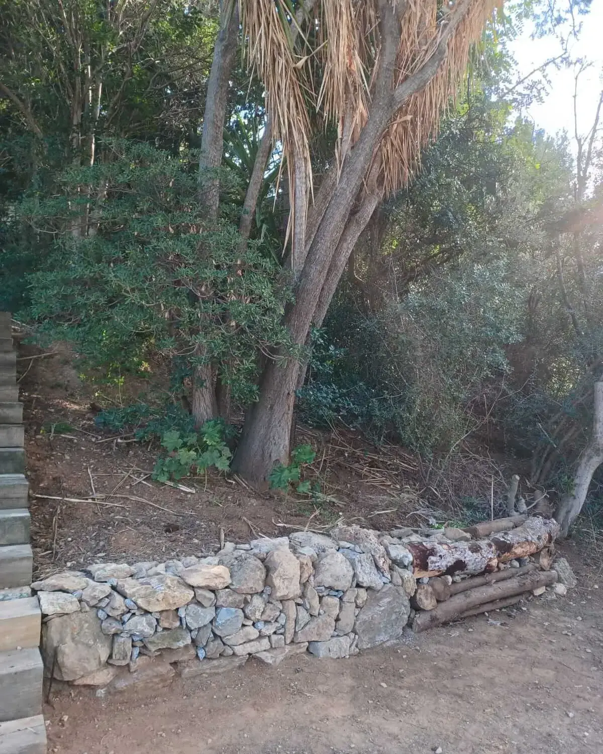 Tota pedra (seca) fa paret