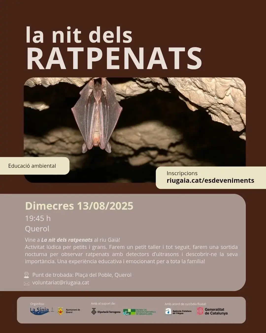 Cartell oficial de l'activitat 'La nit dels ratpenats'.