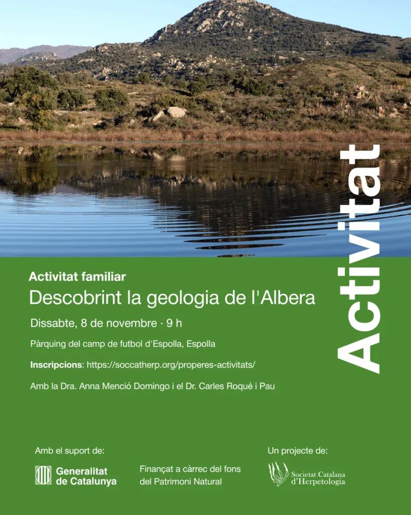 Cartell oficial de l'activitat 'Descobrint la geologia de l’Albera'. Cartell oficial de l'activitat 'Descobrint la geologia de l’Albera'.
