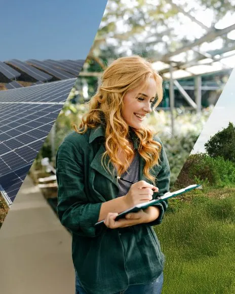 Collage de persones analitzant projectes d'emprenadoria verda