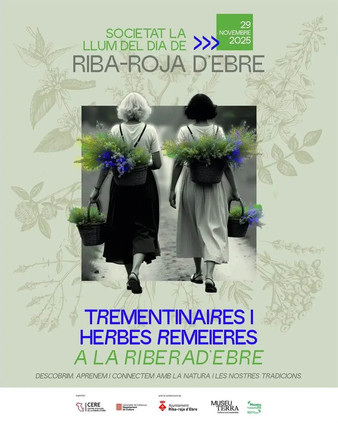 Cartell de la jornada