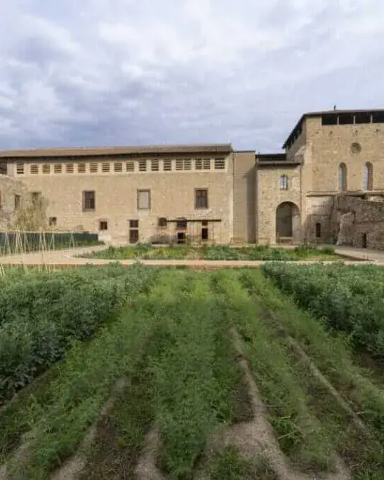 Imatge de l'hort medieval del Monestir de Pedralbes, amb part del monestir de fons.