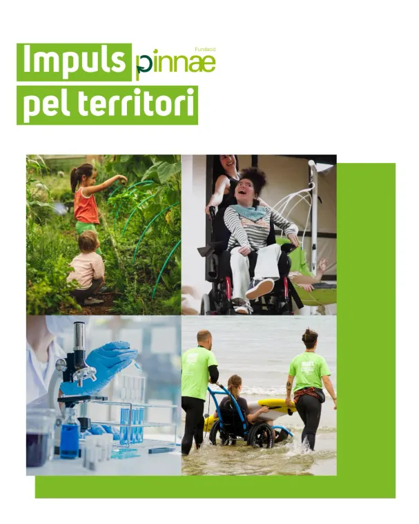 Cartell de la convocatòria de Pinnae- Impuls pel territori - 2026