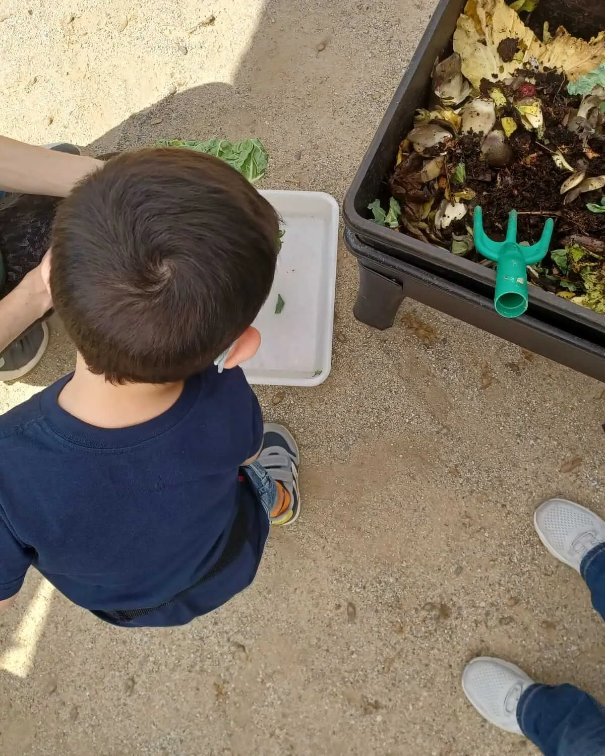 Imatge d'una criatura d'esquenes durant l'activitat amb una vermicompostadora.