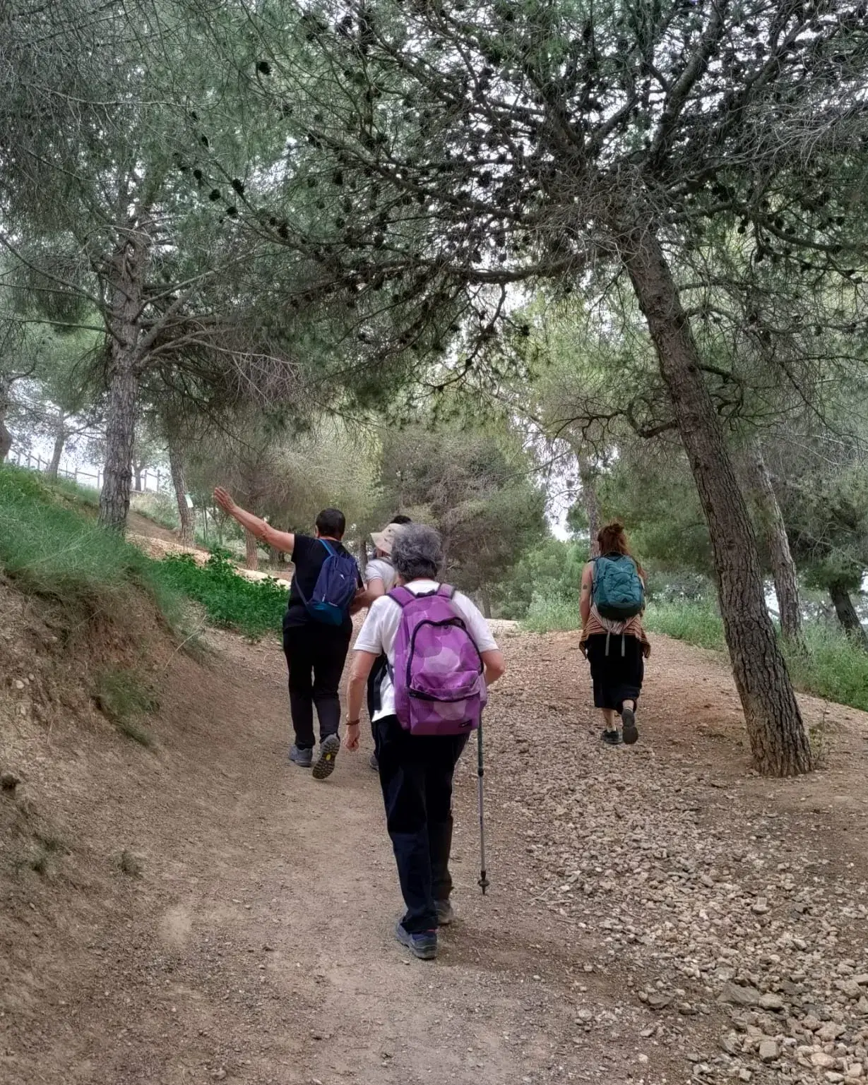 Explorem la biodiversitat