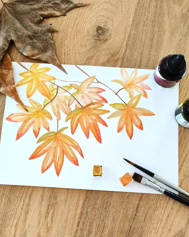Aquarel·la i il·lustració botànica de tardor
