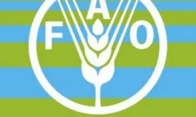 Cartell en anglès del Dia Mundial de l'Alimentació