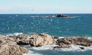 Illes Formigues-Costa Brava